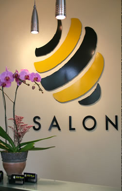 Image of Salon Desk